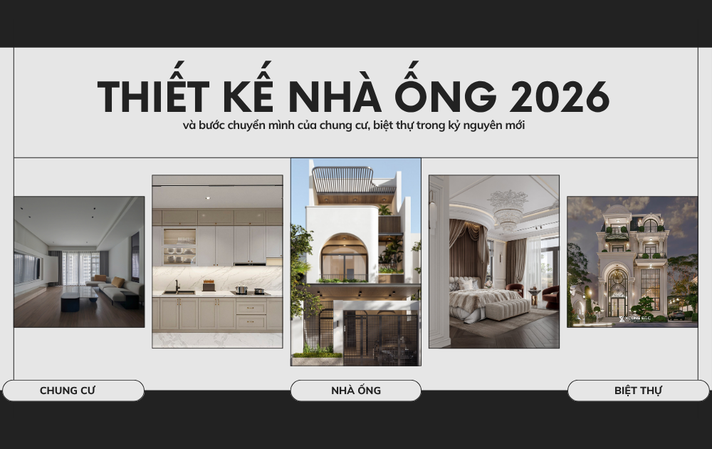 thiet ke nha ong 2026